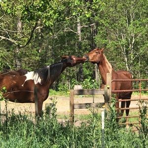 Meet your Posher, Melanie